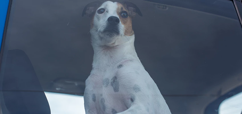 Car Lockout Solutions in Lakeland Village, California